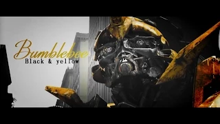 [Transformers] B U M B L E B E E || Black & Yellow