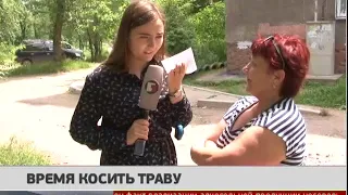 Дворы Хабаровска зарастают травой. Новости. 09/07/2018. GuberniaTV