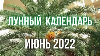 Лунный календарь на июнь 2022 года