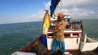 Pescaria em Alto Mar: Sobrevivência Extrema!!Bastante Peixe No Espinhel! Ação Insana!
