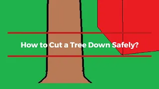 How to Cut a Tree Down Safely in the Direction You Want?