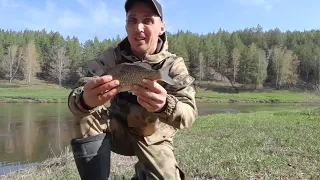 РЫБАЛКА НА ПОПЛАВОК...Такой адреналин я давно не получал, поймал разной рыбы.