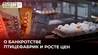 Что будет с ценами на куриное мясо и яйцо в Казахстане?