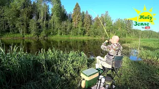 РЫБАЛКА на ДОНКУ. Еду один в реальную ДИЧЬ. Лоси ходят, РЫБА ловится.  МЕСТО просто СКАЗКА!