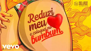 Solange Almeida - Reduzi Meu Coração e Coloquei no Bumbum (Áudio Oficial)