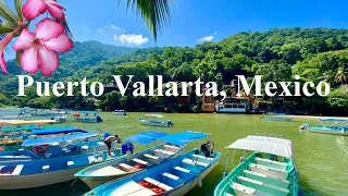 Living Abroad in Puerto Vallarta | Boca de Tomatlan, Yelapa, Dia de los Muertos