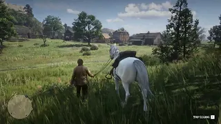 Red Dead Redemption 2 | Jadi Kang Kuda | Naikan Level Kuda Legendaris Arabian Maksimal