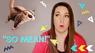 “My Sugar Glider is SO MEAN” | Are Sugar Glider's Mean?