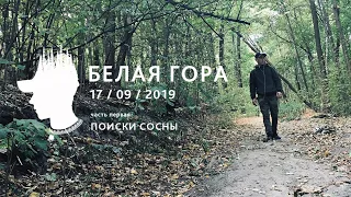 ОДИНОЧНЫЙ ПОХОД НА БЕЛУЮ ГОРУ | СОСНА | ВОРОНЕЖ