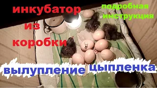 ИНКУБАТОР ИЗ КОРОБКИ/Подробная ИНСТРУКЦИЯ, как инкубировать ЯЙЦА в картонной коробке/ВЫЛУП ЦЫПЛЯТ