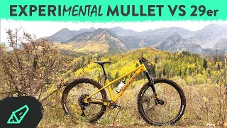 Santa Cruz Chameleon Mx vs 29er - Getting experiMENTAL with the 2022 Santa Cruz Chameleon