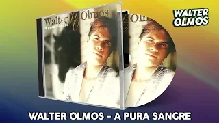 Walter Olmos - Amor Fugitivo