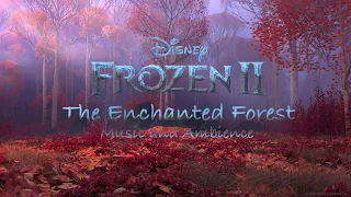 The Enchanted Forest | Frozen II Music & Ambience