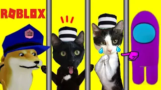 Roblox pero gato Luna y Estrella escapan de la prision de BAD CAT / Gameplay con gatitos