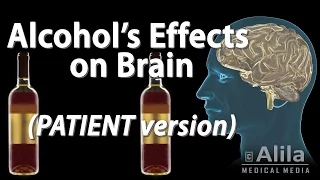 Alcohol Effects on the Brain, PATIENT Version, Animation