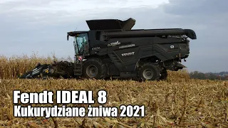 Fendt IDEAL 8 – kukurydziane żniwa 2021