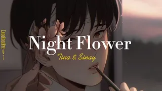 Pintor Nocturno |• Night Flower |• (cover de Tina y Sinay) YEEUN AHN