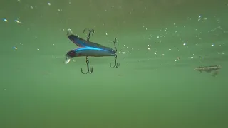 Игра TsuYoki Miser 95F. Подводные съемки. Underwater