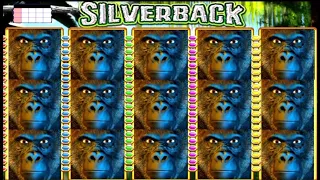 ★★JACKPOT HANDPAY★★$62 BETS★★SILVERBACK HIGH LIMIT SLOT MACHINE BUENO DINERO MUSEUM SLOTS WMS