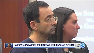 Nassar seeks resentencing by new judge in sex assault case