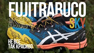 ASICS FUJITRABUCO SKY после 100 км // Трейловые кроссовки не для трейла? // Дизайн или качество?