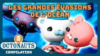 Octonauts - 🌊 Les grandes évasions de l'océan 🛟 | Compilation | Dessins animés pour enfants