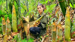 Picking bamboo shoots to sell, processing dishes from bamboo shoots-Ly Huong-Daily life