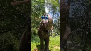 Bathing with Elephant 🐘🚿 • #elephant #shorts #short #shortvideo  #wildlife #elephantbathing #enjoy