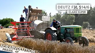 Deutz F3L 514/6 + Claas Super • Wheat harvest | Agrarvolution Praxis