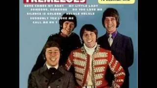 The Tremeloes - En tu Mundo