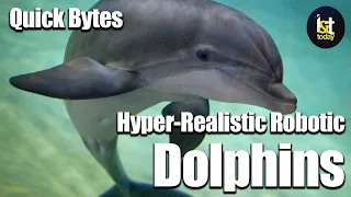 Hyper-Realistic Robotic Dolphins - Quick Bytes