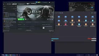 Skyrim with ModOrganizer2 on Linux