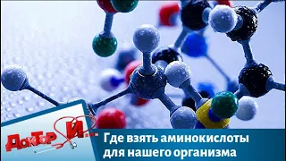 Где взять аминокислоты для нашего организма | Доктор И