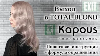TOTAL BLOND на краске Kapous Professional (капус) || Пошаговая инструкция + формула окрашивания
