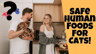 What "Human Foods" Are Safe for Cats to Eat?