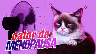 REPOSIÇÃO HORMONAL pra você que tá no CALOR DA MENOPAUSA | Dra Ingrid Serafim