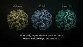 Phasing simplified with nanopore sequencing