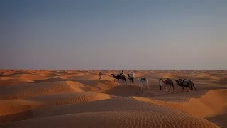 Sahara desert: from Douz to Ksar Ghilane - True Tunisia / season 1 (episode 5)