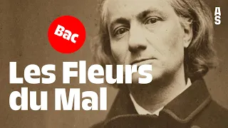 Les Fleurs du Mal, Charles Baudelaire | Bac français 2024