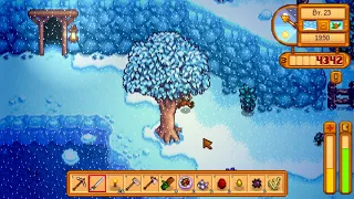 Пир зимней звезды в stardew valley