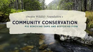 Removing Dams and Restoring Flow