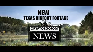 Texas Man Releases 'Bigfoot' Footage