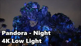 Pandora Nighttime Tour - 4K Ultra Low Light | Disney's Animal Kingdom