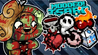 FOR TARNISHED MAGGY INSANE BUILD! - MEGA MODDED Binding of Isaac Repentance - Part 8