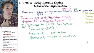 Membranes 1- Introduction