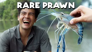 Rare Blue River Prawns in the Philippines | Catch and Cook with Erwan Heussaff