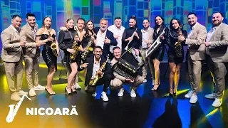 Petrica Brundeanu ❌ Armin Nicoara ❌ Petrica Nicoara | Colaj de Petrecere ☀️ Summer Party 🥂 2023