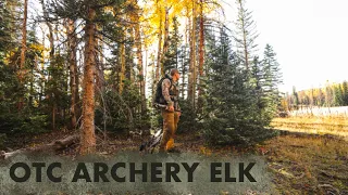 Public Land ELK Hunt- FIRED UP BULLS!