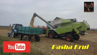 Молотим сою🌱 ГМО. CLAAS Tucano 470⚡