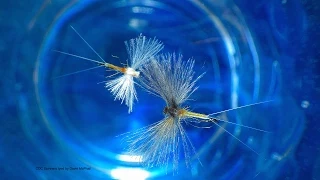 Tying a CDC Spinner by Davie McPhail